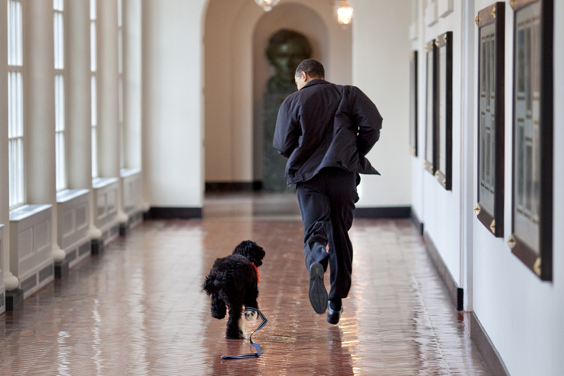 deces-chien-obama