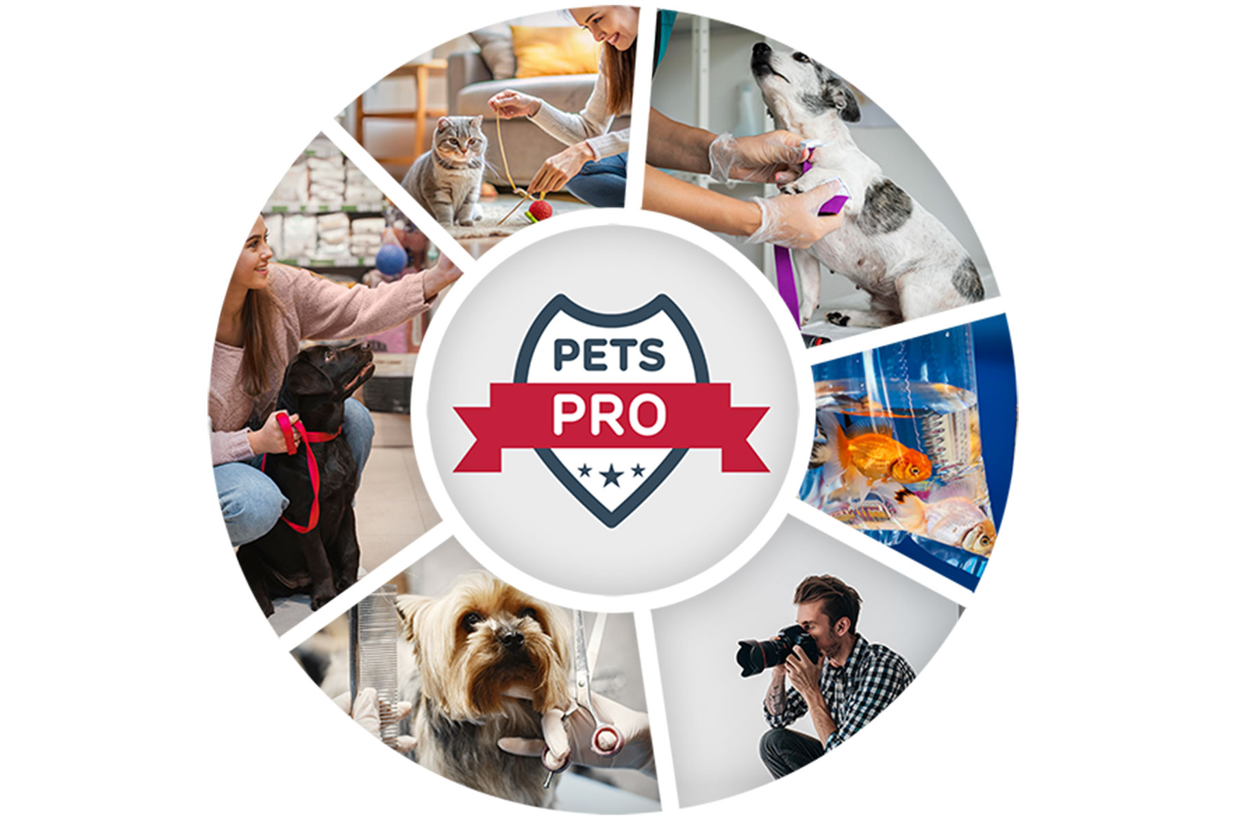 PETS.PRO est l'annuaire en ligne qui réunit des experts du monde animalier pour faciliter la connexion entre professionnels et propriétaires d'animaux en offrant un accès rapide à des services, conseils et produits spécialisés.