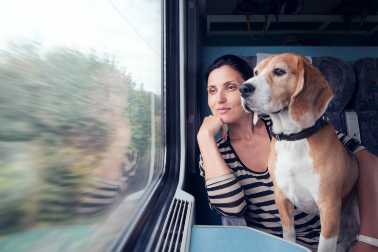 femme et chien dans train