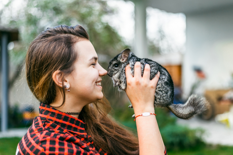 fille jouant avec un chinchilla